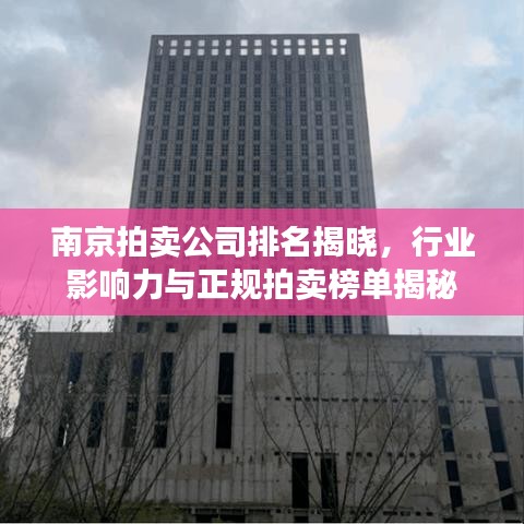 南京拍卖公司排名揭晓，行业影响力与正规拍卖榜单揭秘