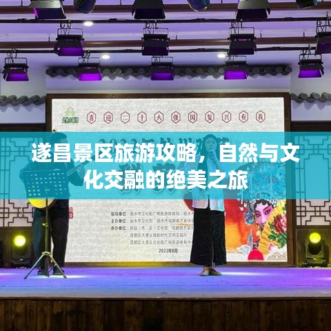 2025年5月26日 第12页