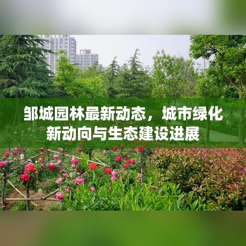 邹城园林最新动态，城市绿化新动向与生态建设进展