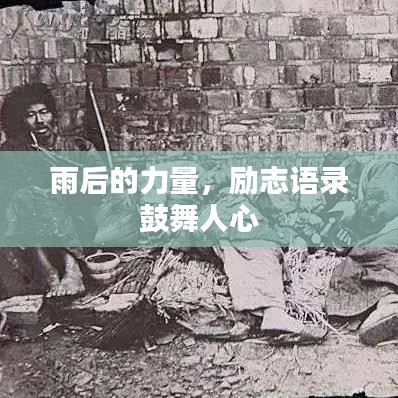 雨后的力量，励志语录鼓舞人心