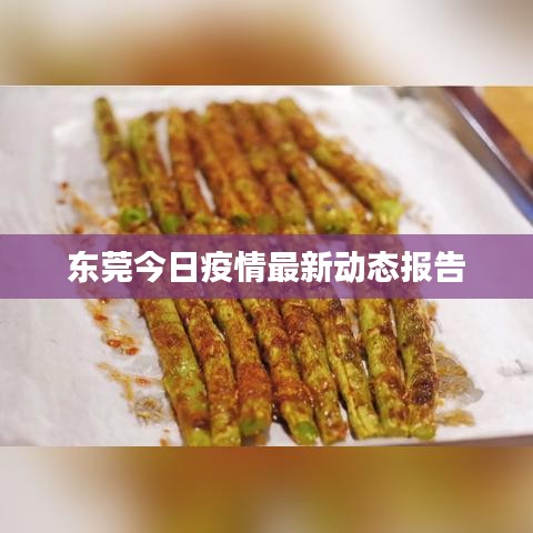 东莞今日疫情最新动态报告