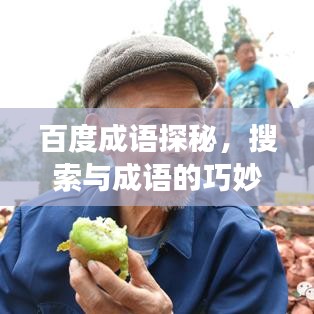 百度成语探秘，搜索与成语的巧妙交融世界