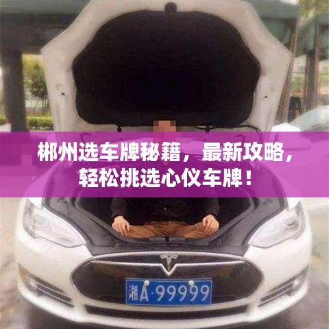 郴州选车牌秘籍，最新攻略，轻松挑选心仪车牌！