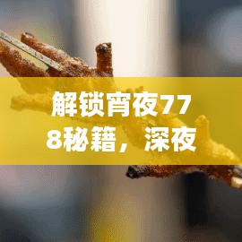 解锁宵夜778秘籍，深夜美食与玩乐新姿势一网打尽！