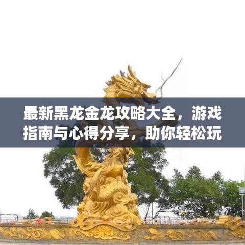 最新黑龙金龙攻略大全，游戏指南与心得分享，助你轻松玩转游戏！