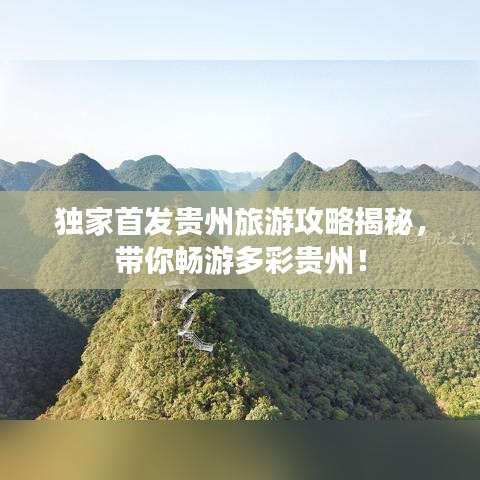 绝无仅有