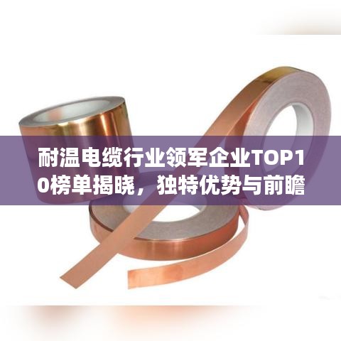 耐温电缆行业领军企业TOP10榜单揭晓，独特优势与前瞻洞察揭秘