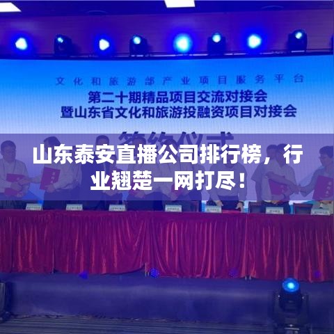 山东泰安直播公司排行榜，行业翘楚一网打尽！