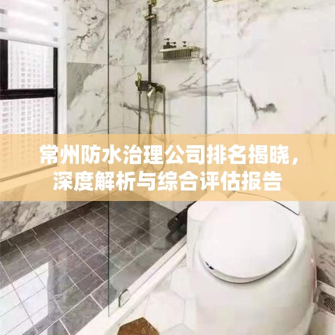常州防水治理公司排名揭晓，深度解析与综合评估报告