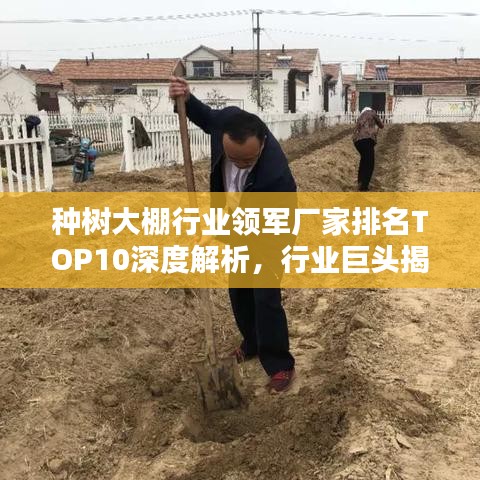 种树大棚行业领军厂家排名TOP10深度解析，行业巨头揭秘！