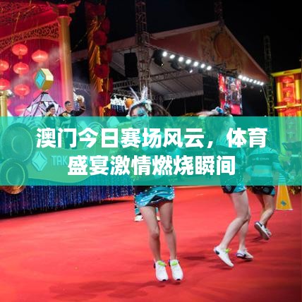 澳门今日赛场风云，体育盛宴激情燃烧瞬间