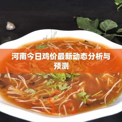 河南今日鸡价最新动态分析与预测