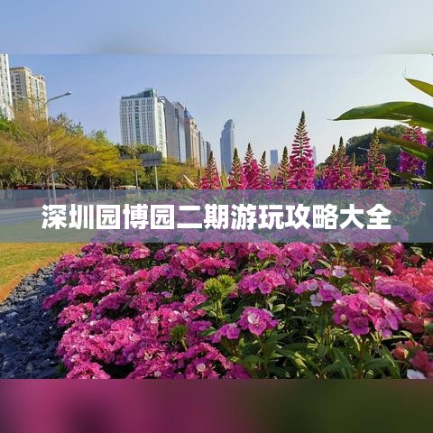 2025年5月27日 第4页