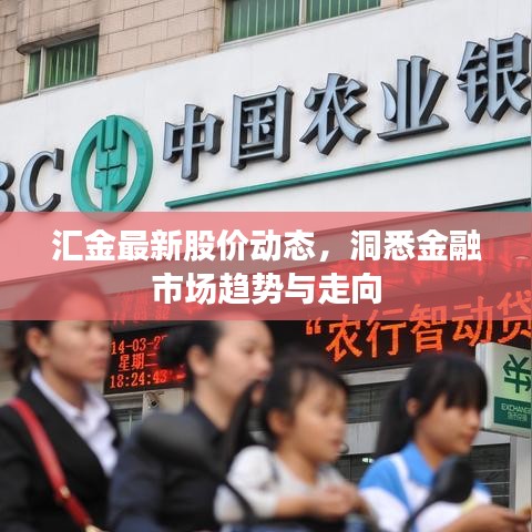 汇金最新股价动态，洞悉金融市场趋势与走向