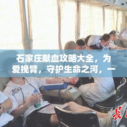石家庄献血攻略大全，为爱挽臂，守护生命之河，一站式了解！