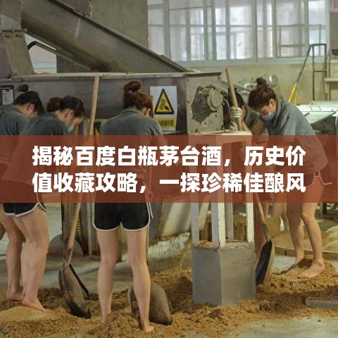 揭秘百度白瓶茅台酒，历史价值收藏攻略，一探珍稀佳酿风采！