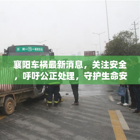 襄阳车祸最新消息，关注安全，呼吁公正处理，守护生命安全