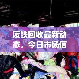 废铁回收最新动态，今日市场信息及趋势深度解析