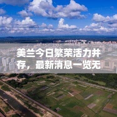 美兰今日繁荣活力并存，最新消息一览无余
