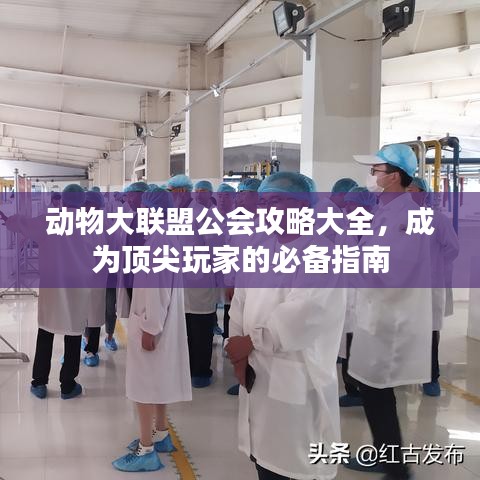 动物大联盟公会攻略大全，成为顶尖玩家的必备指南