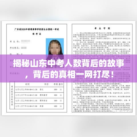 揭秘山东中考人数背后的故事，背后的真相一网打尽！