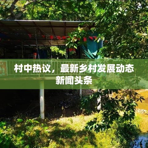 村中热议，最新乡村发展动态新闻头条