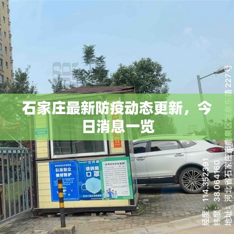 石家庄最新防疫动态更新，今日消息一览