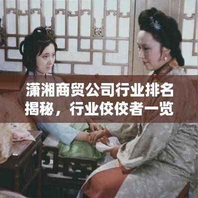 潇湘商贸公司行业排名揭秘，行业佼佼者一览无余