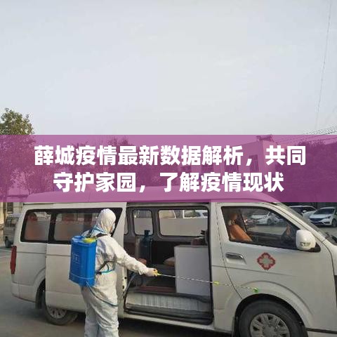 薛城疫情最新数据解析，共同守护家园，了解疫情现状