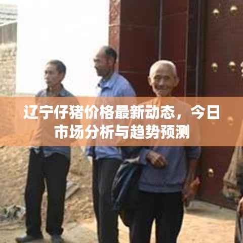 辽宁仔猪价格最新动态，今日市场分析与趋势预测