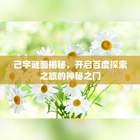 己字谜面揭秘，开启百度探索之旅的神秘之门
