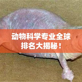 动物科学专业全球排名大揭秘！