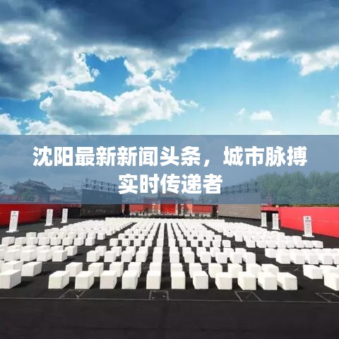 沈阳最新新闻头条，城市脉搏实时传递者
