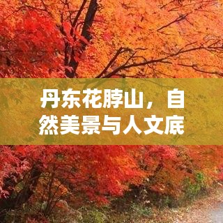 丹东花脖山，自然美景与人文底蕴的完美融合攻略