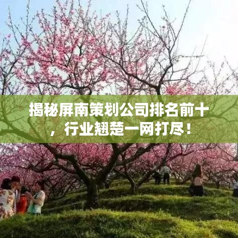 揭秘屏南策划公司排名前十，行业翘楚一网打尽！