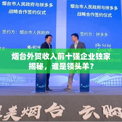 烟台外贸收入前十强企业独家揭秘，谁是领头羊？