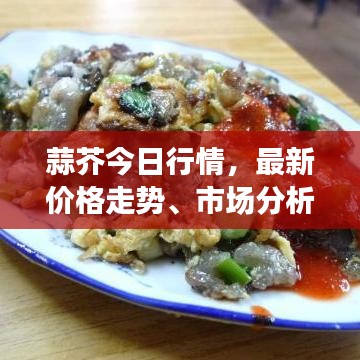 蒜芥今日行情，最新价格走势、市场分析与趋势预测
