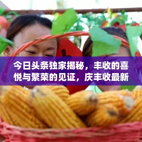 今日头条独家揭秘，丰收的喜悦与繁荣的见证，庆丰收最新消息大揭秘！