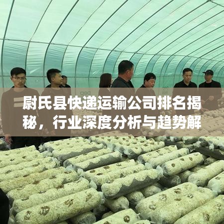 尉氏县快递运输公司排名揭秘，行业深度分析与趋势解读