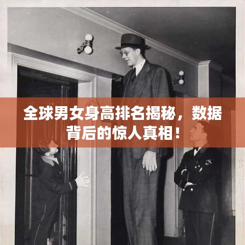 全球男女身高排名揭秘，数据背后的惊人真相！
