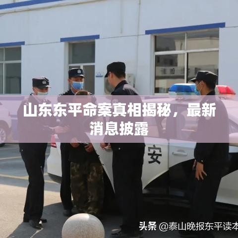 山东东平命案真相揭秘，最新消息披露