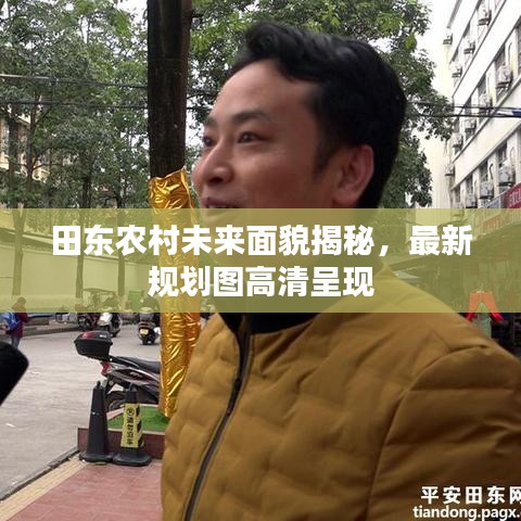 田东农村未来面貌揭秘，最新规划图高清呈现