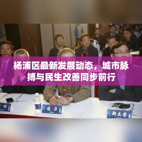 杨浦区最新发展动态，城市脉搏与民生改善同步前行