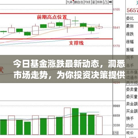 今日基金涨跌最新动态，洞悉市场走势，为你投资决策提供关键指引