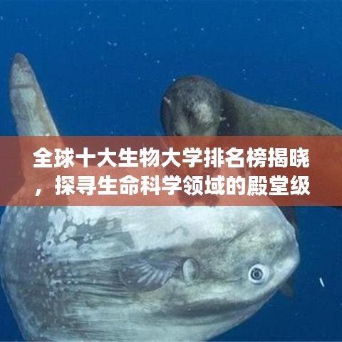 全球十大生物大学排名榜揭晓，探寻生命科学领域的殿堂级学府