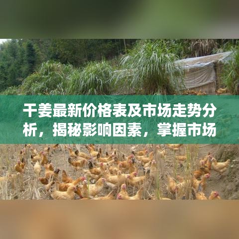 干姜最新价格表及市场走势分析，揭秘影响因素，掌握市场动态！