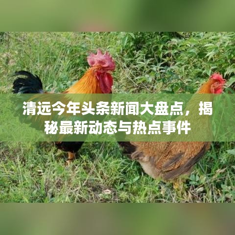 清远今年头条新闻大盘点，揭秘最新动态与热点事件