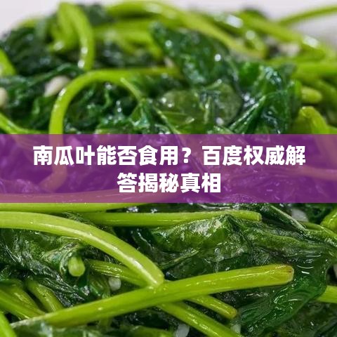 南瓜叶能否食用？百度权威解答揭秘真相