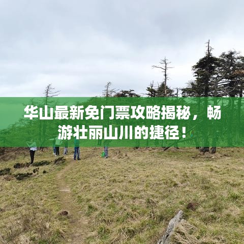 华山最新免门票攻略揭秘，畅游壮丽山川的捷径！