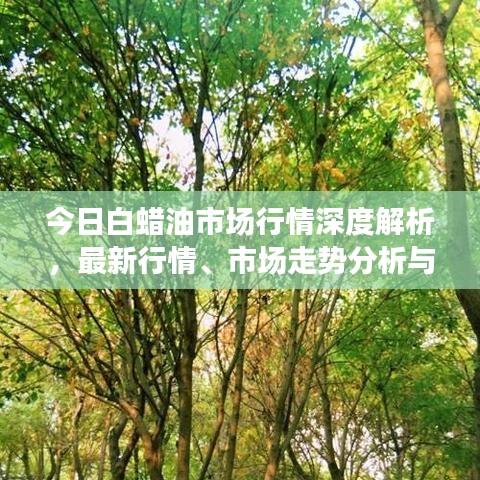 今日白蜡油市场行情深度解析，最新行情、市场走势分析与展望